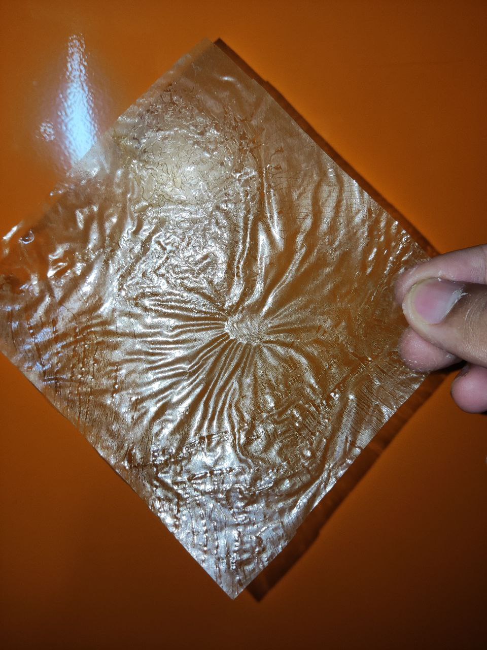 Prototype eco-food packaging